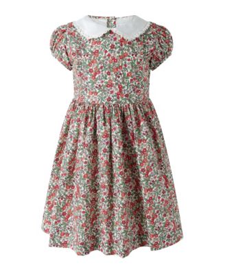 Toddler Girls' 2T-5T Botanical Frill Front Puff Sleeve Dress