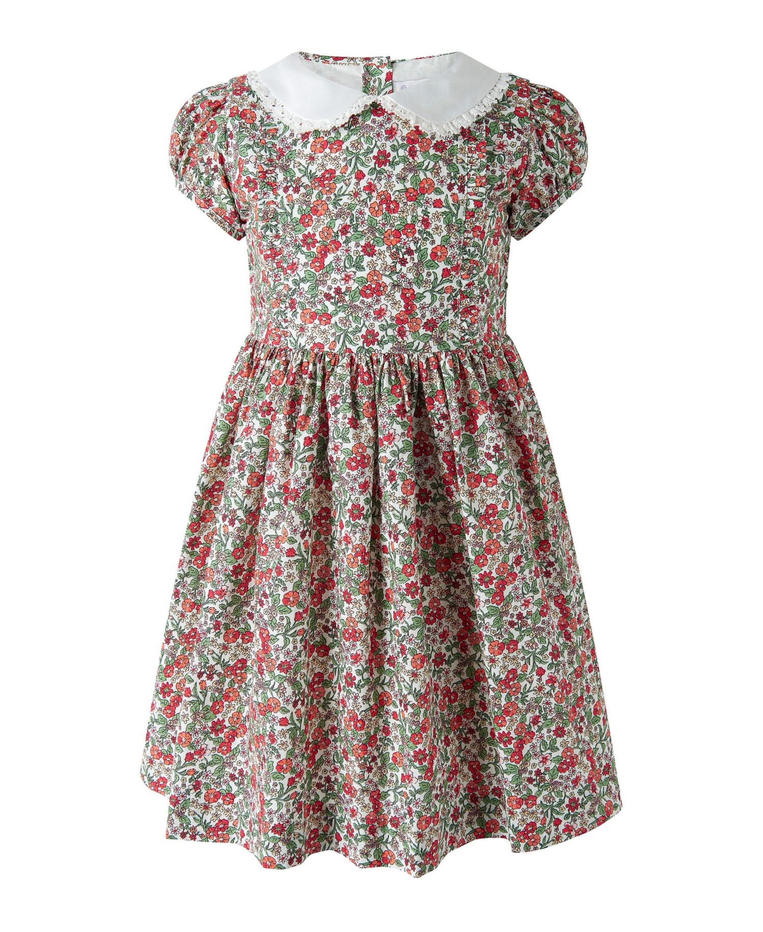 Toddler Girls' 2T-5T Botanical Frill Front Puff Sleeve Dress