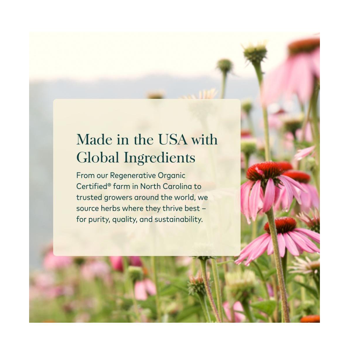 Gaia Herbs Golden Milk Supplement Powder