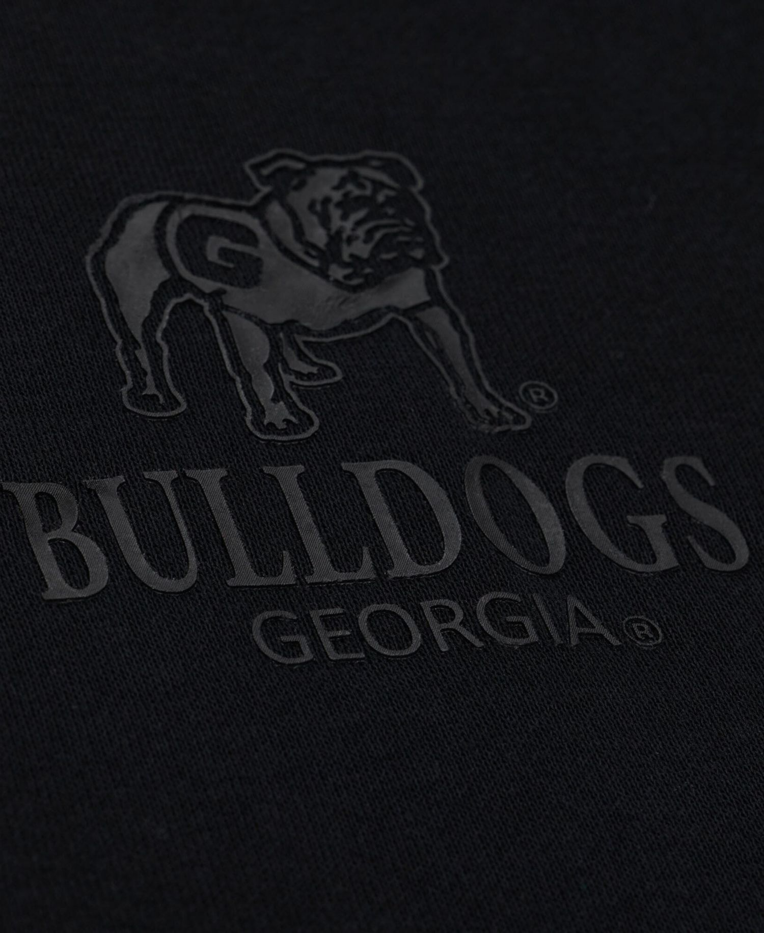Men's Black Georgia Bulldogs Monochrome Icon Fleece Hoodie