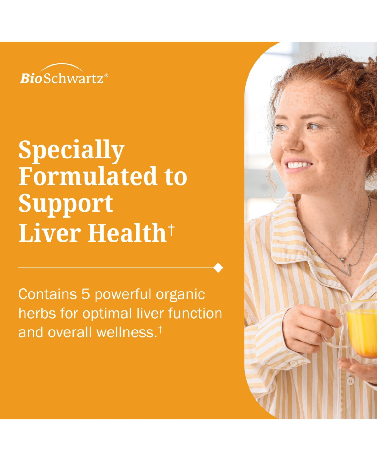 BioSchwartz Liver Support Supplement with Turmeric, Ginger, Milk Thistle, Artichoke and Dandelion, Citrus Flavor, 16 fl oz (3-Pack)