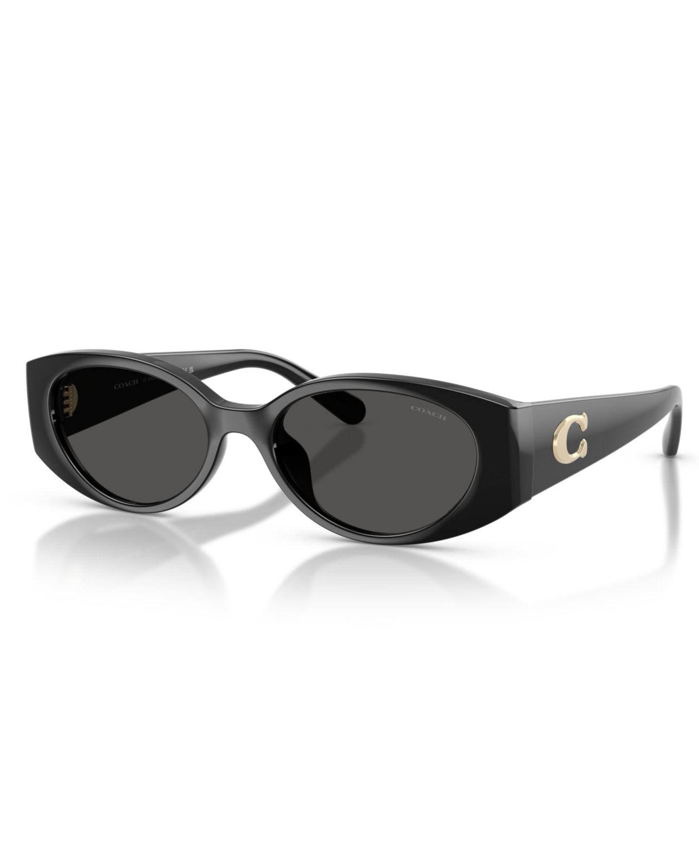 Женские солнцезащитные очки Coach Sunglasses HC8462U, цвет: Чёрный — фото 1