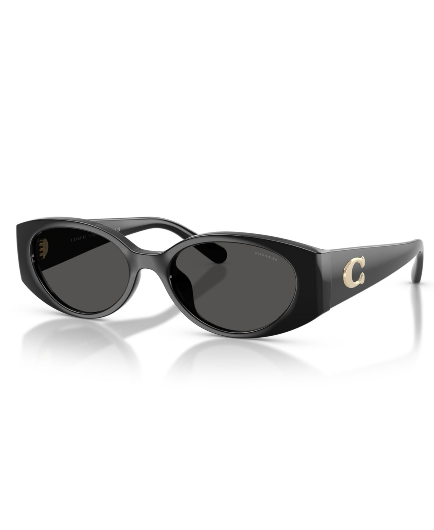 Women's Sunglasses HC8462U