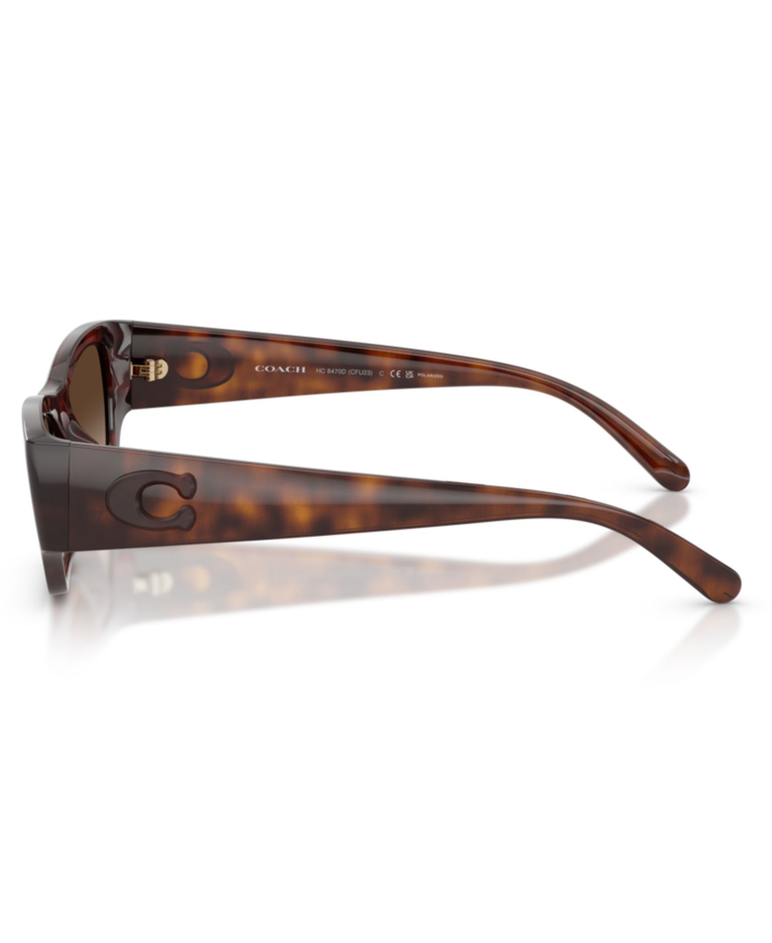 Polarized Cat-Eye Sunglasses HC8470D