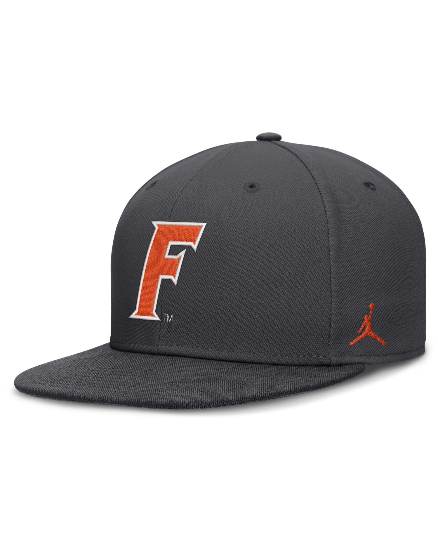 Men's Anthracite Florida Gators Pro Dri-FIT Fitted Hat