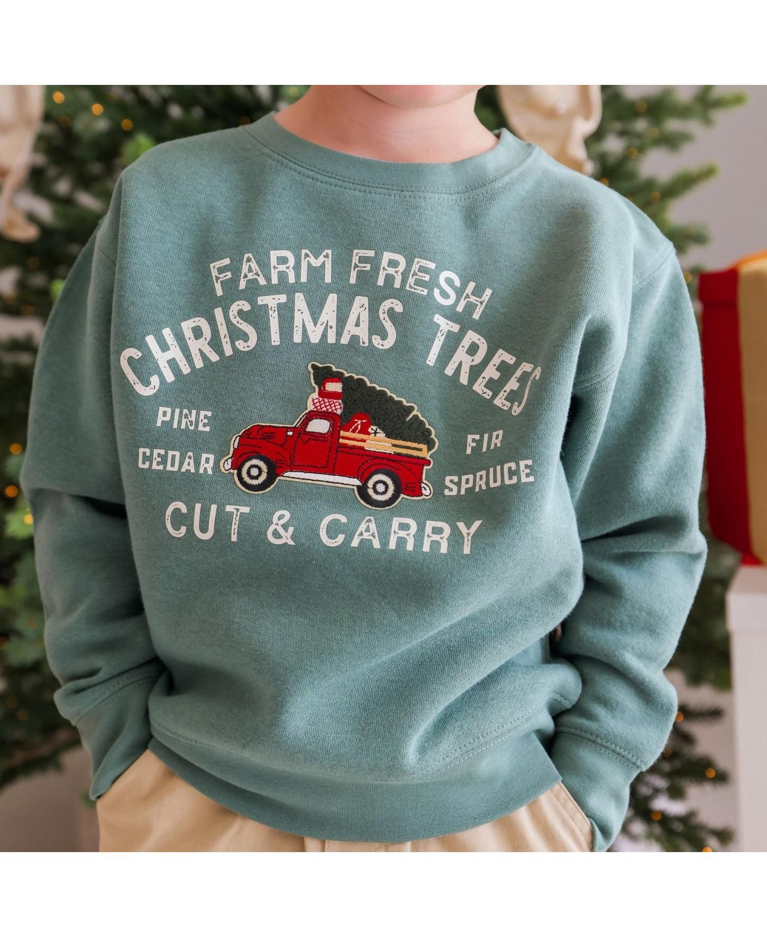 Boys' 2T-20 Farm Fresh Christmas Tree Patch Holiday Graphic Sweatshirt