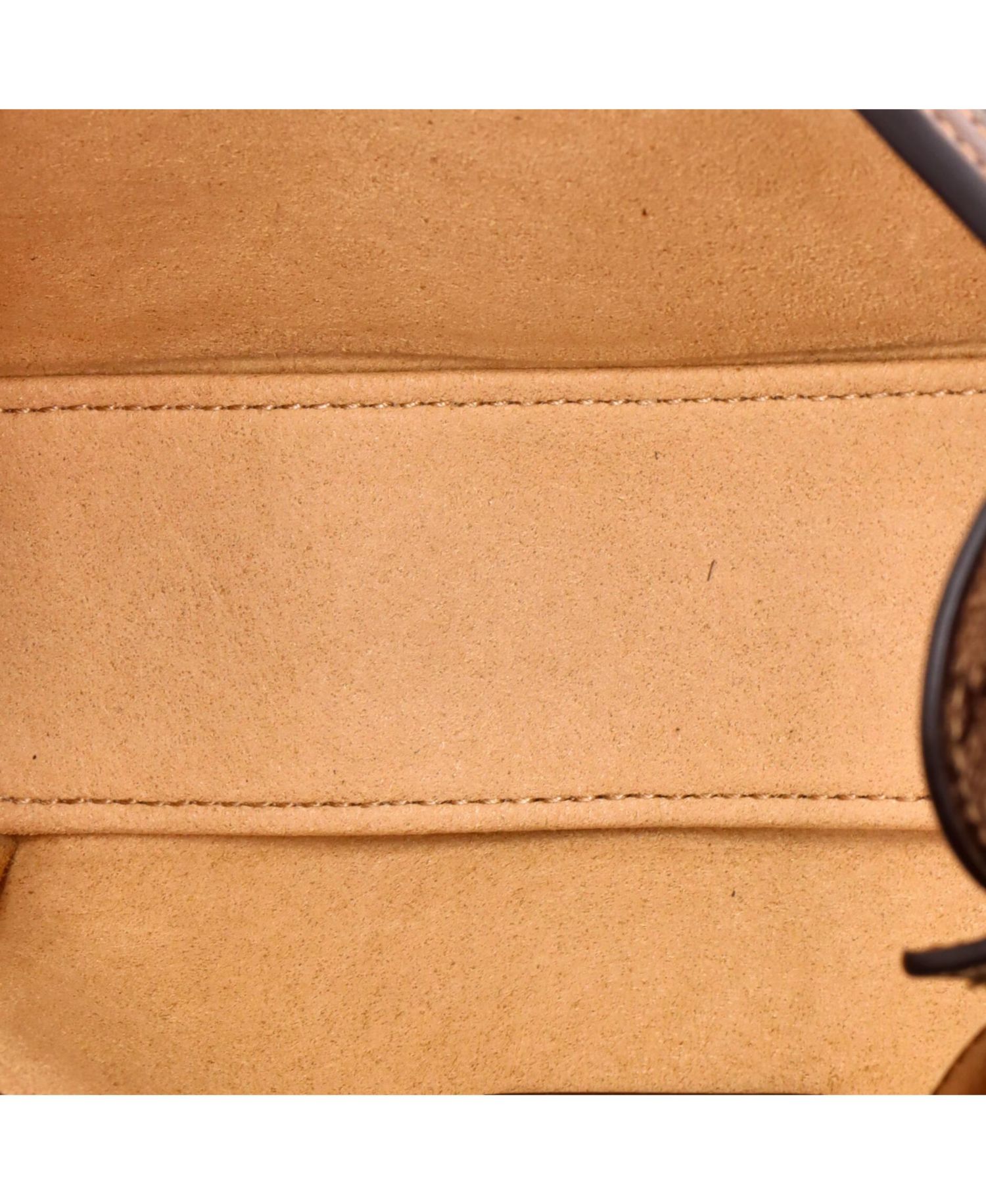 Mini Horsebit 1955 Flap Crossbody Bag