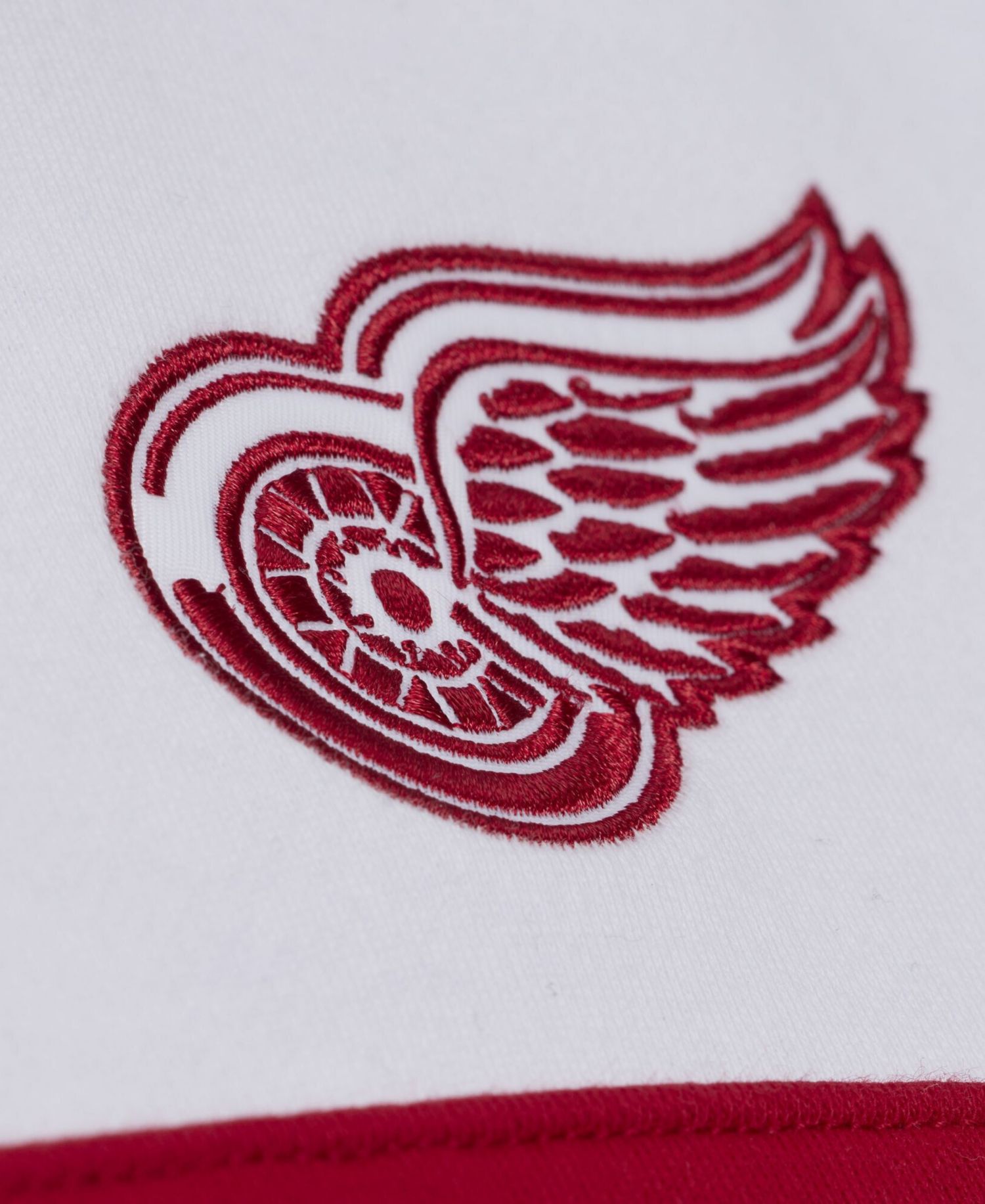Men's Black Detroit Red Wings Head Coach Hoodie