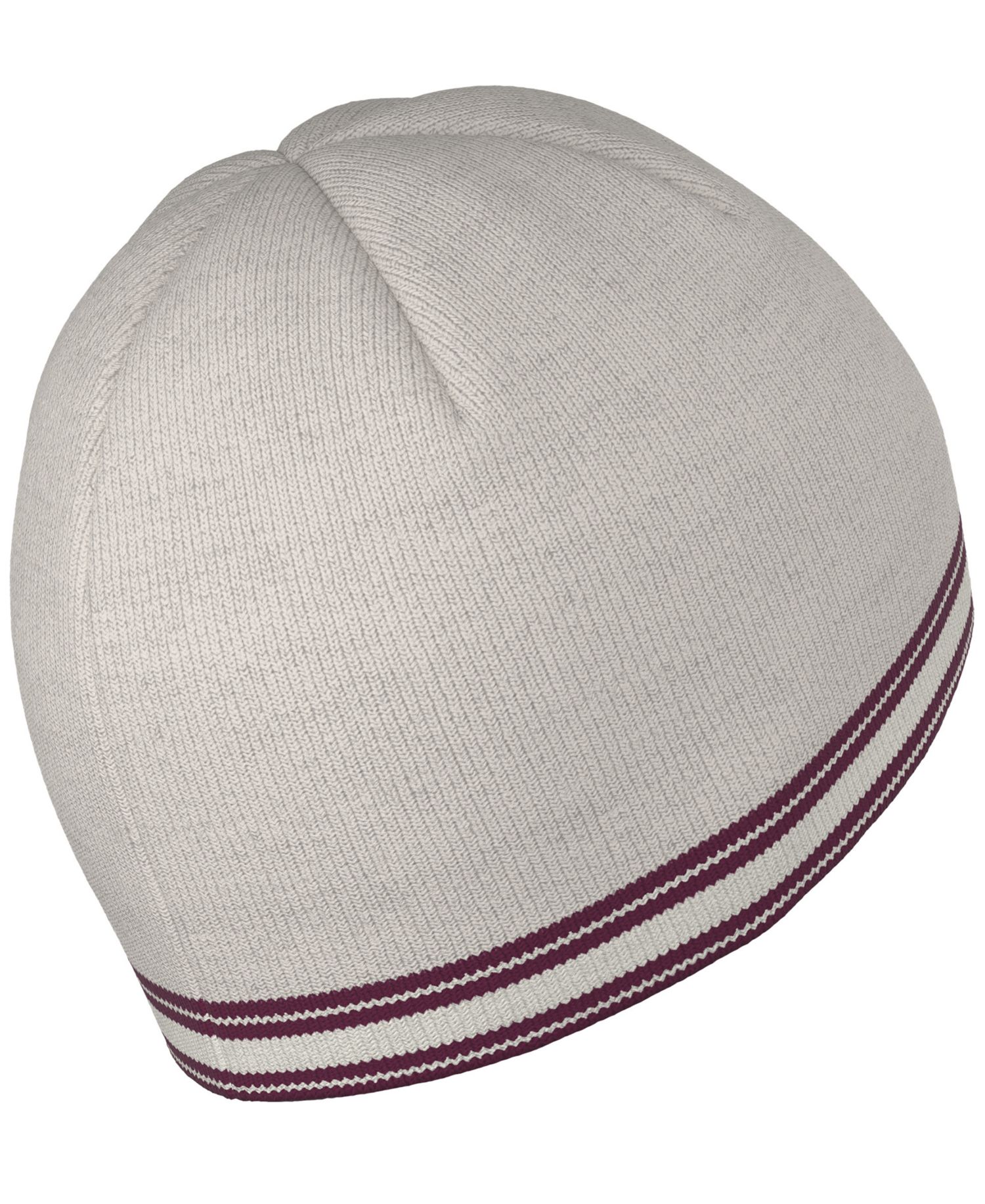 Men's Stripe Skully Beanie