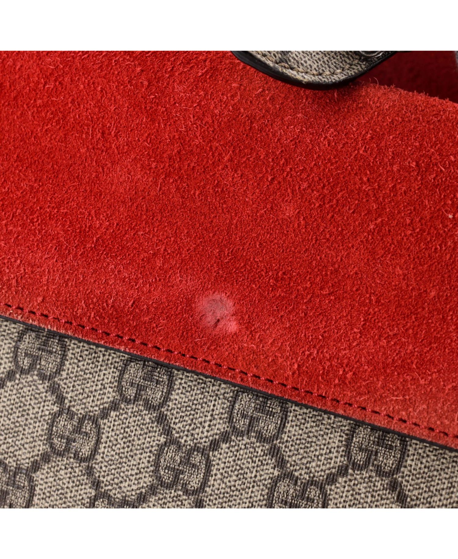 Small Dionysus Coated Canvas Shoulder Bag