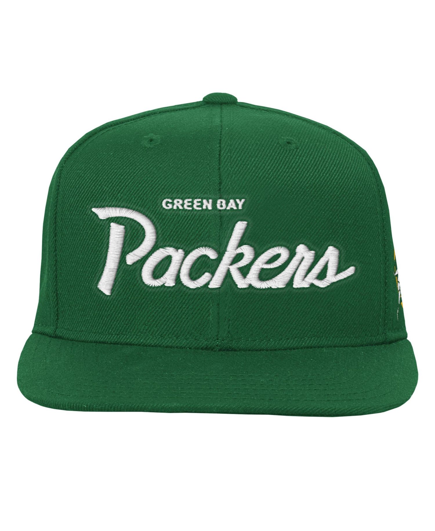 Big Boys and Girls Green Green Bay Packers Head Coach Flat Brim Snapback Hat