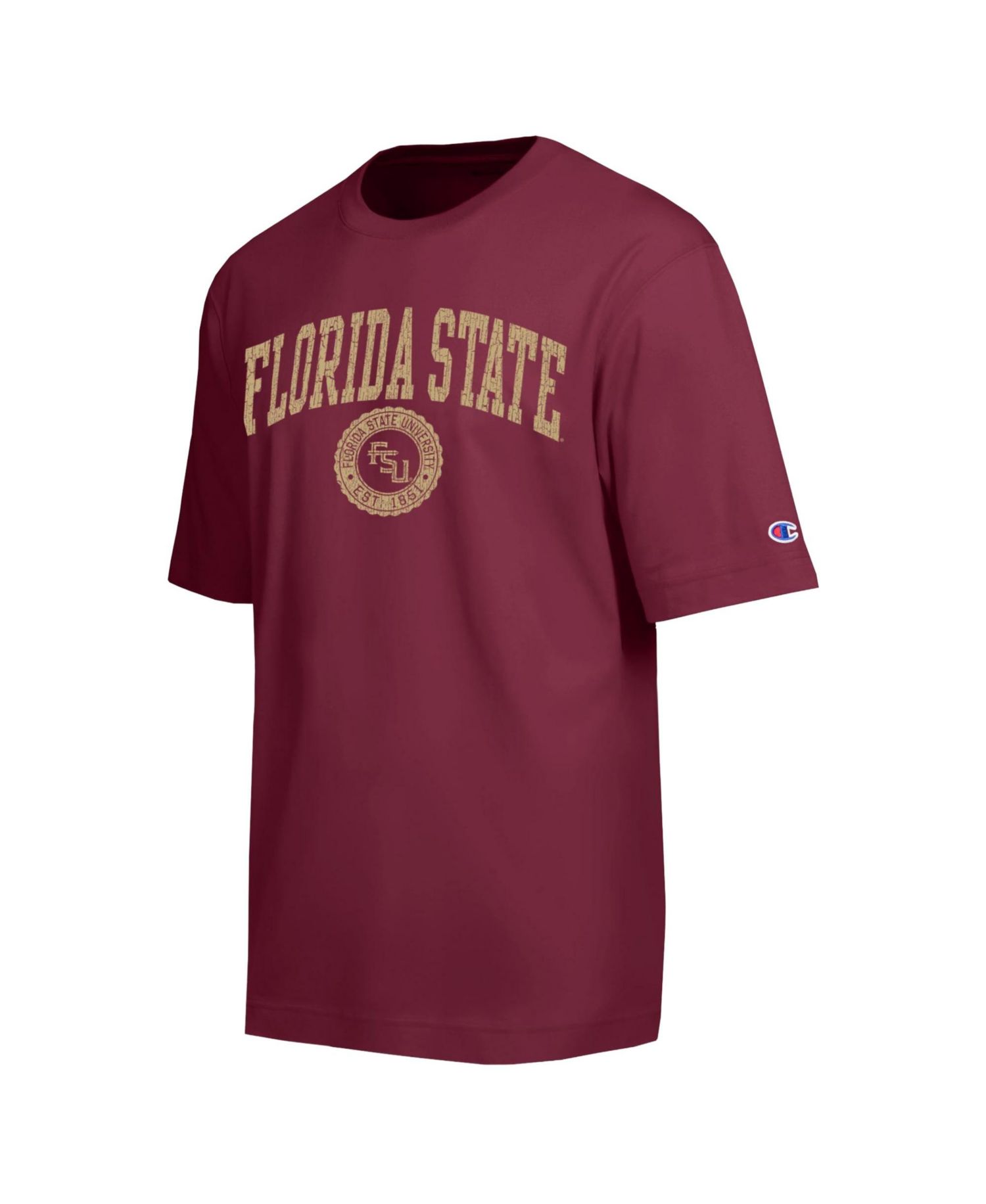 Men's Garnet Florida State Seminoles Scholar All-Star T-Shirt