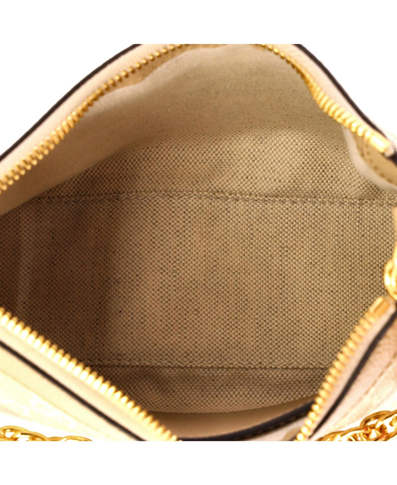 Small Ophidia Charm Shoulder Bag GG Coated Canvas