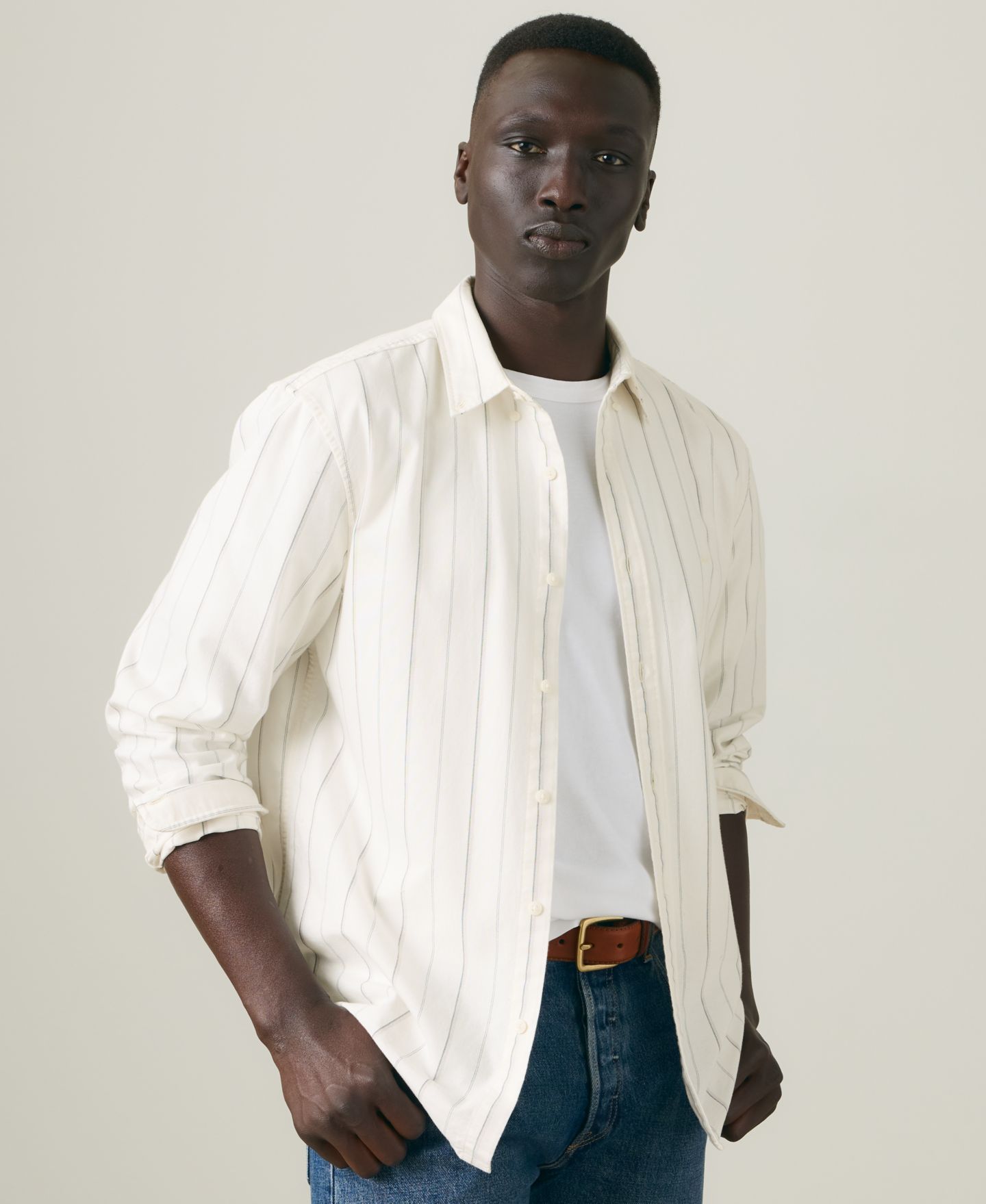 Мужская рубашка Levi's Button-Down Long-Sleeve, цвет: Облачный — фото 5