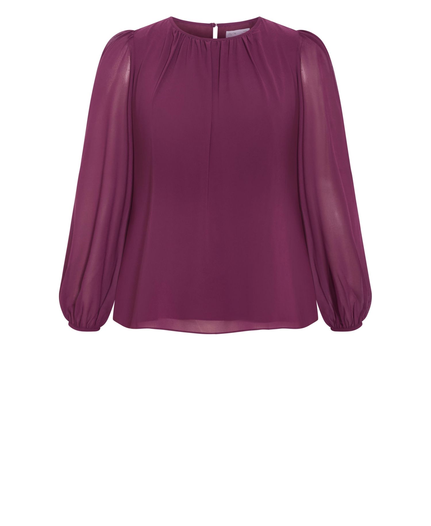 Plus Size Kelly Sheer-Sleeve Crewneck Blouse