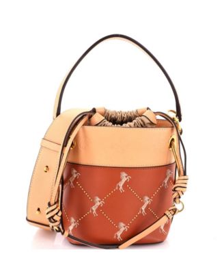 Mini Roy Bucket Bag Embroidered Leather