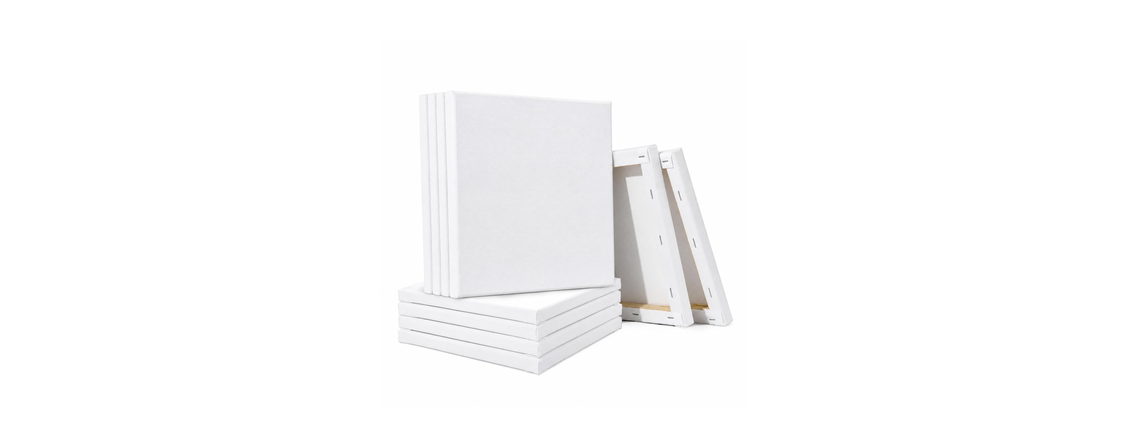 Lowking 24 Pack Multi Blank Stretched Canvas Painting Set for Artists