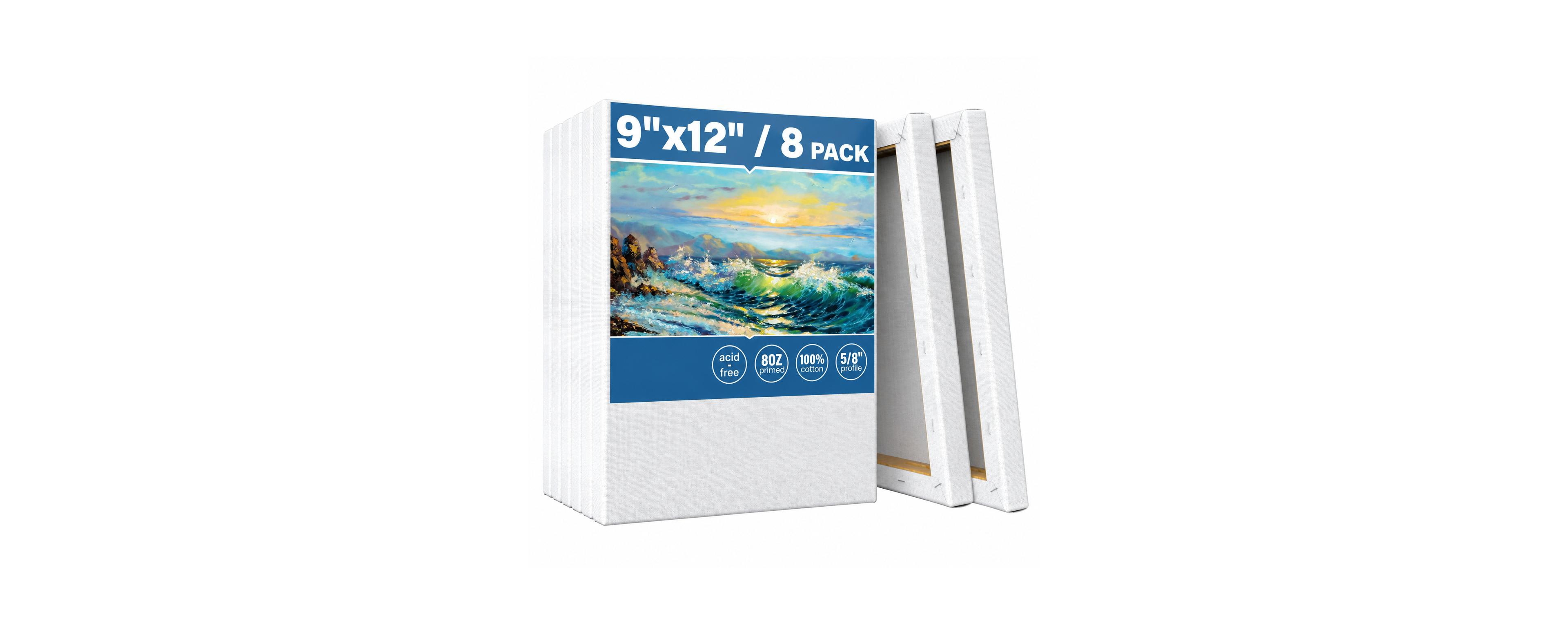 Lowking 8 Pack Pre Stretched Artist Canvas Framed Ready to Paint for Art Supplies - 8 pack