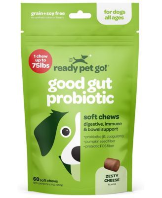 Probiotic Soft Chews for Dogs | Prebiotics, Probiotics, Pumpkin Seed and Digestive Enzymes | 60 Chews