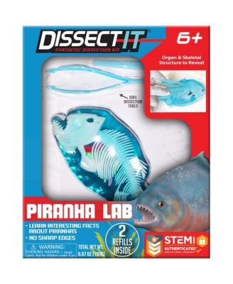 Piranha Lab Realistic Synthetic Dissection STEM Learning Kit with 2 Refill Packs, Ages 6-12