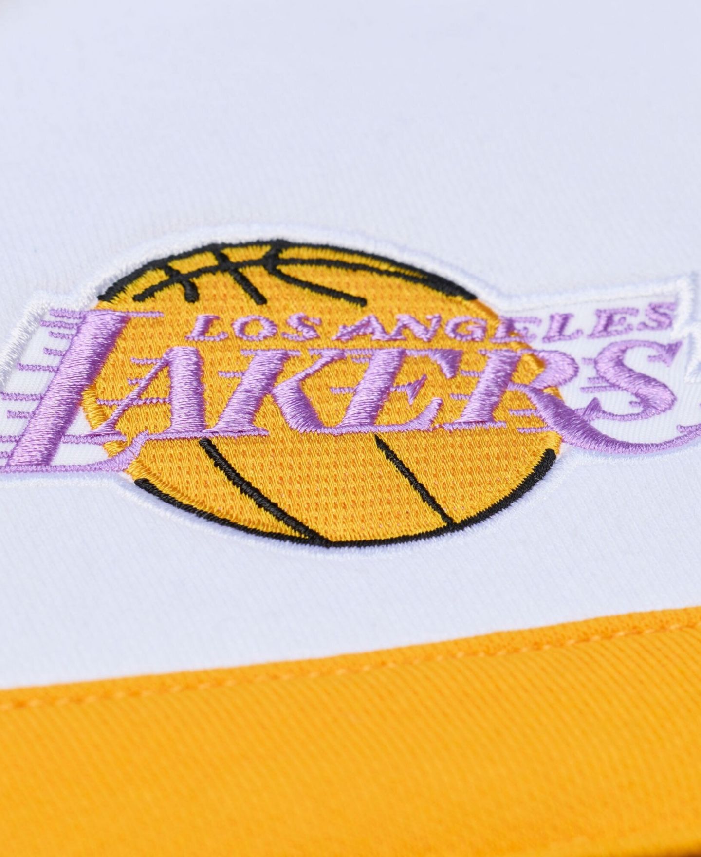 Мужское худи Mitchell & Ness Black Los Angeles Lakers Head Coach — фото 7