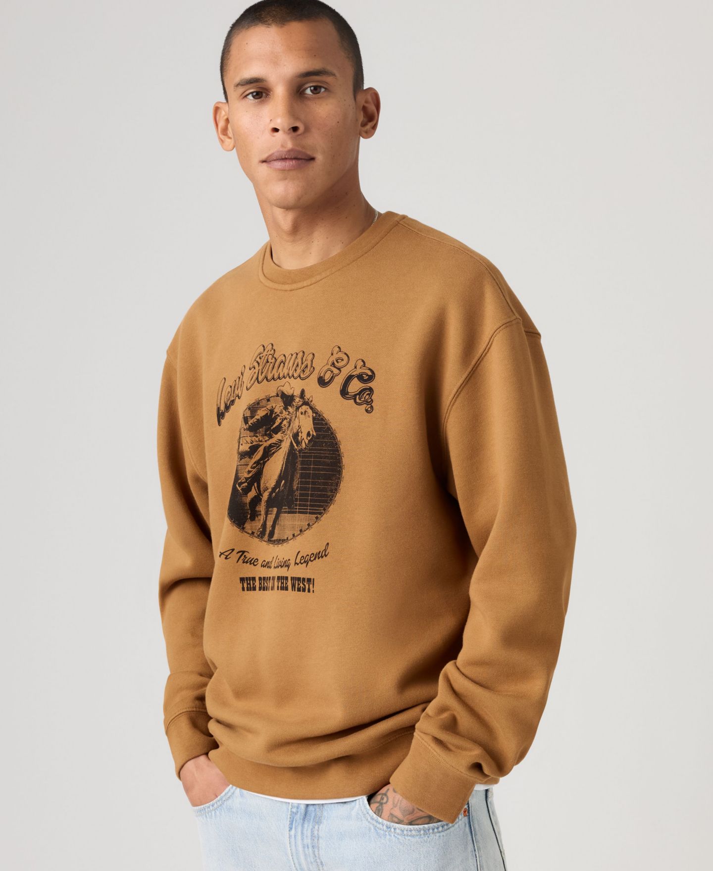 Мужской свитшот Levi's Graphic с длинным рукавом и принтом, цвет: Legend Foxtrot — фото 2
