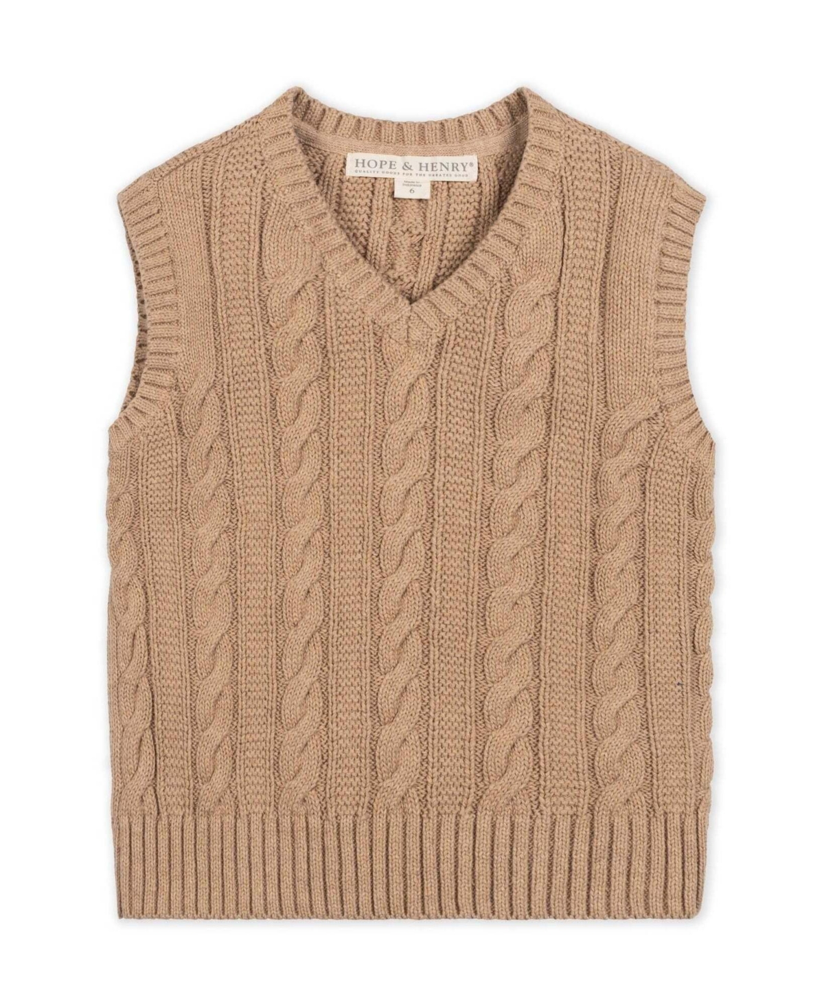Hope & Henry Baby Boys' Organic Cotton Cable-Knit V-Neck Sweater Vest