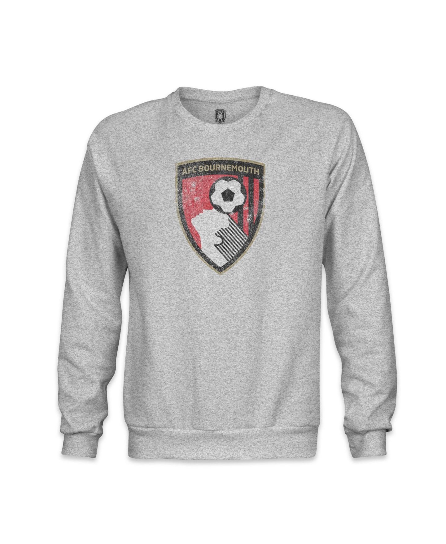 Мужская толстовка 1863FC Gray AFC Bournemouth Color Badge — фото 2