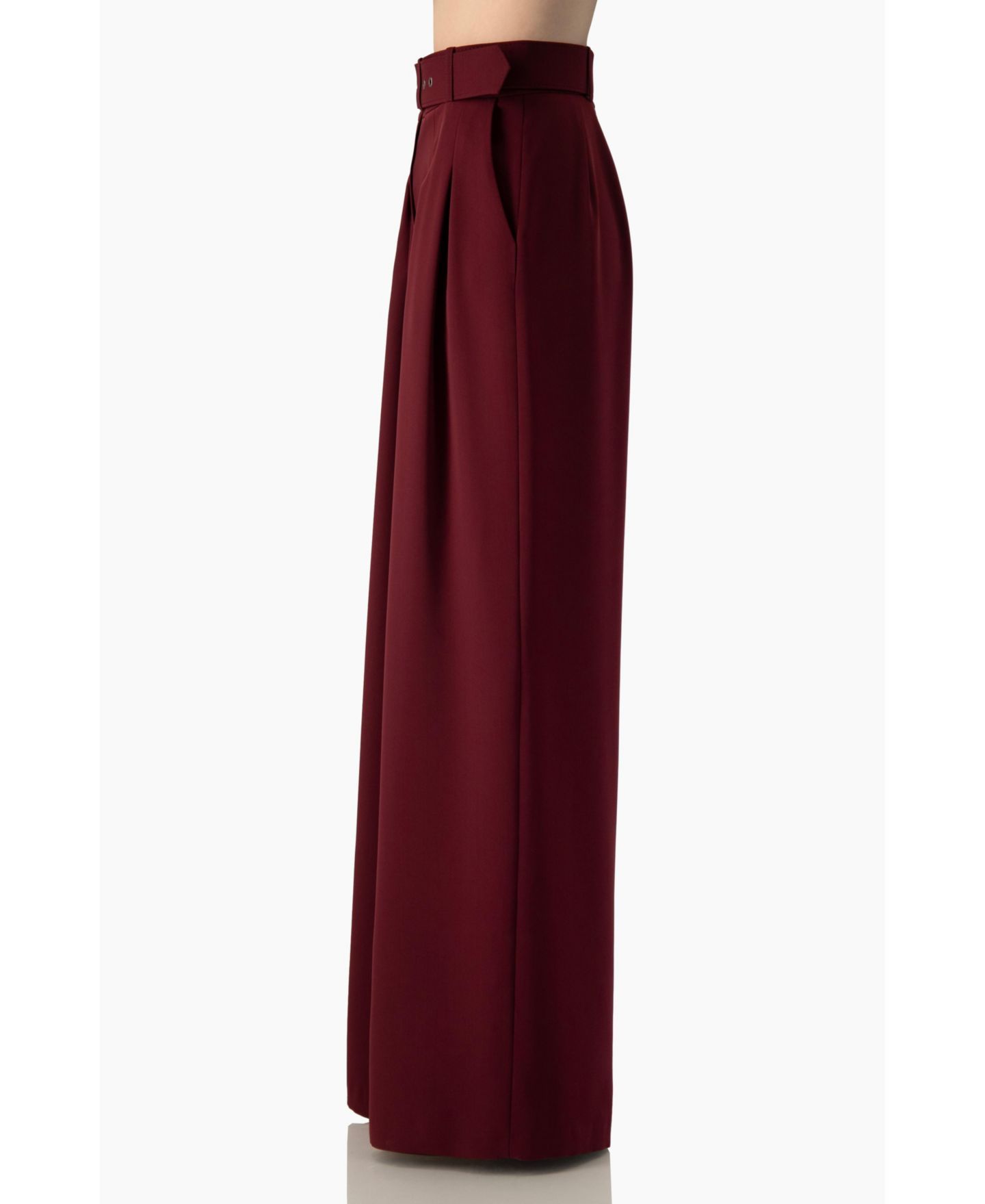 Женские брюки Ivonne High-Waisted Wide-Leg Pleated, цвет: Винный — фото 4