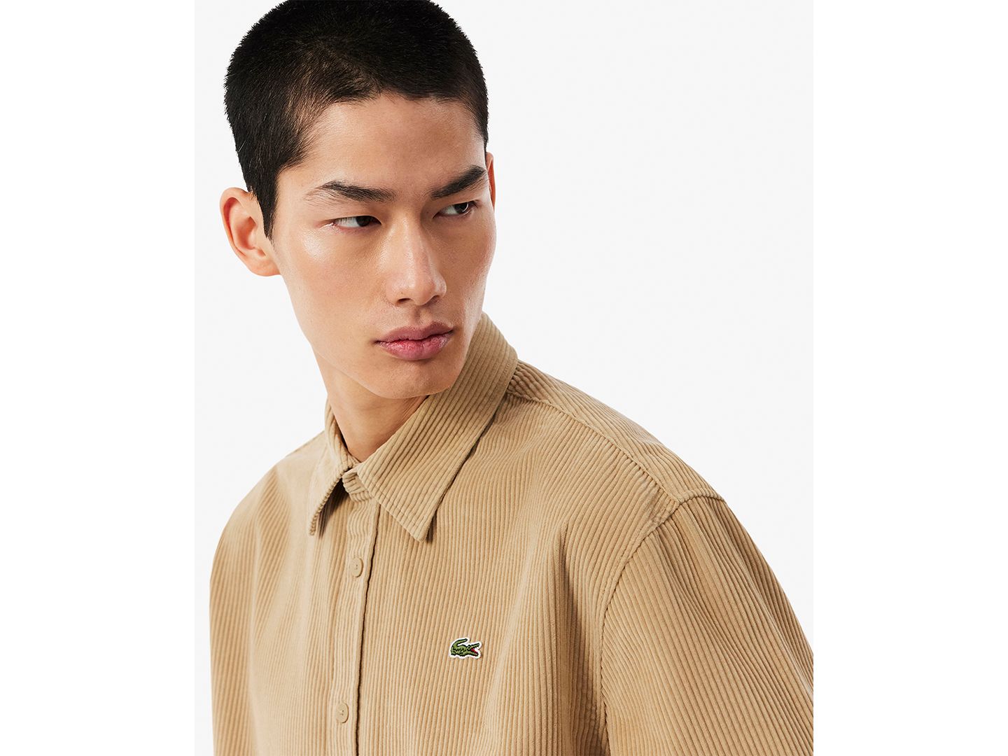 Мужская рубашка Lacoste Corduroy Regular-Fit Button Down, цвет: Тёмный бежевый — фото 3