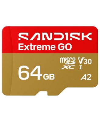 Extreme GO 64GB Up to 170MB/s Read microSDXC Memory Card for Action Cams, Drones & Android
