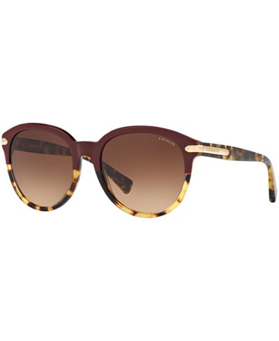 Coach Sunglasses, HC8140