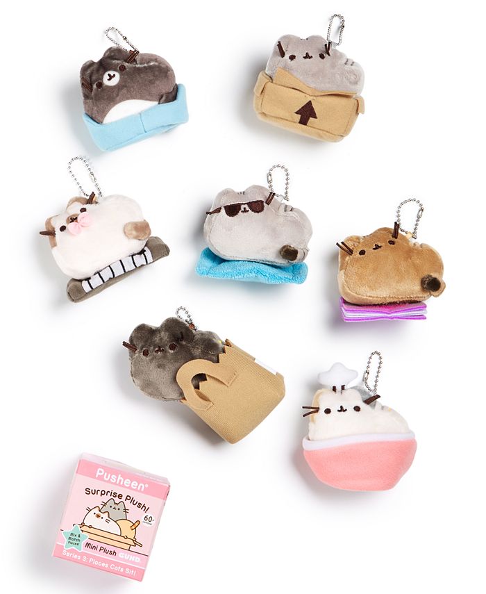 Pusheen places cats 2025 sit