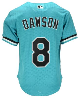 andre dawson authentic jersey