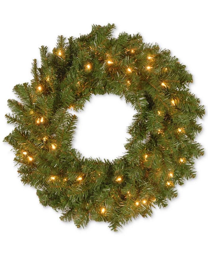 National Tree Company - 24" Kincaid Spruce Wreath With 50 Clear Lights