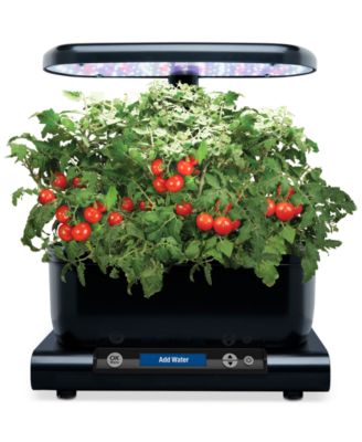 AeroGarden  Heirloom Cherry Tomato 6-Pod Refill Kit
