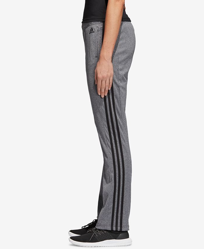 designed 2 move pants
