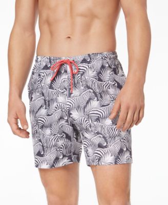 zebra print swim trunks