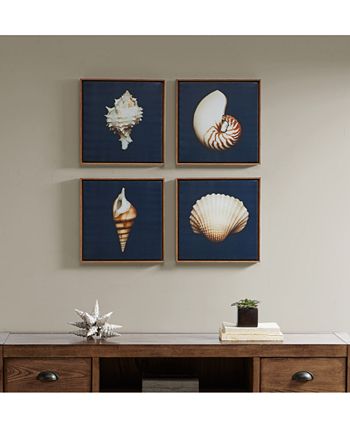 Madison Park - Ocean Seashells 4-Pc. Framed Canvas Print Set