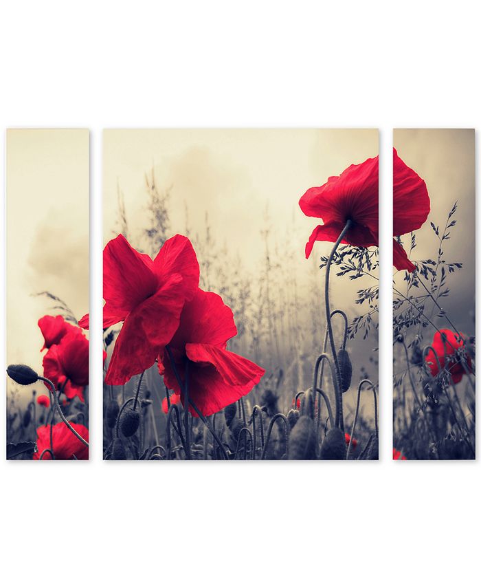 Trademark Global - Philippe Sainte-Laudy 'Red For Love' Large Multi-Panel Wall Art Set