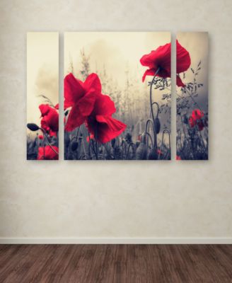 Trademark Global Philippe Sainte-Laudy 'Red For Love' Multi Panel Art Set Large - 41" x 30" x 2"