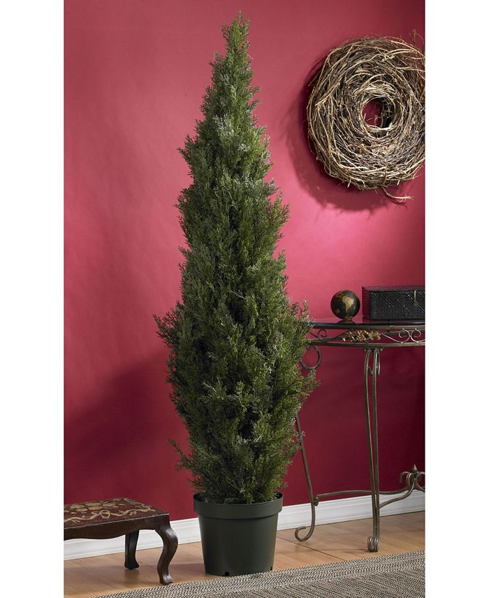 Nearly Natural 6' Indoor/Outdoor Artificial Mini Cedar Pine Tree Macy's