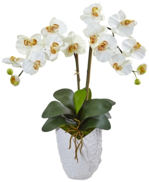 Nearly Natural Double Phalaenopsis Orchid Artificial Arrangement In White Ceramic Vase In Natural