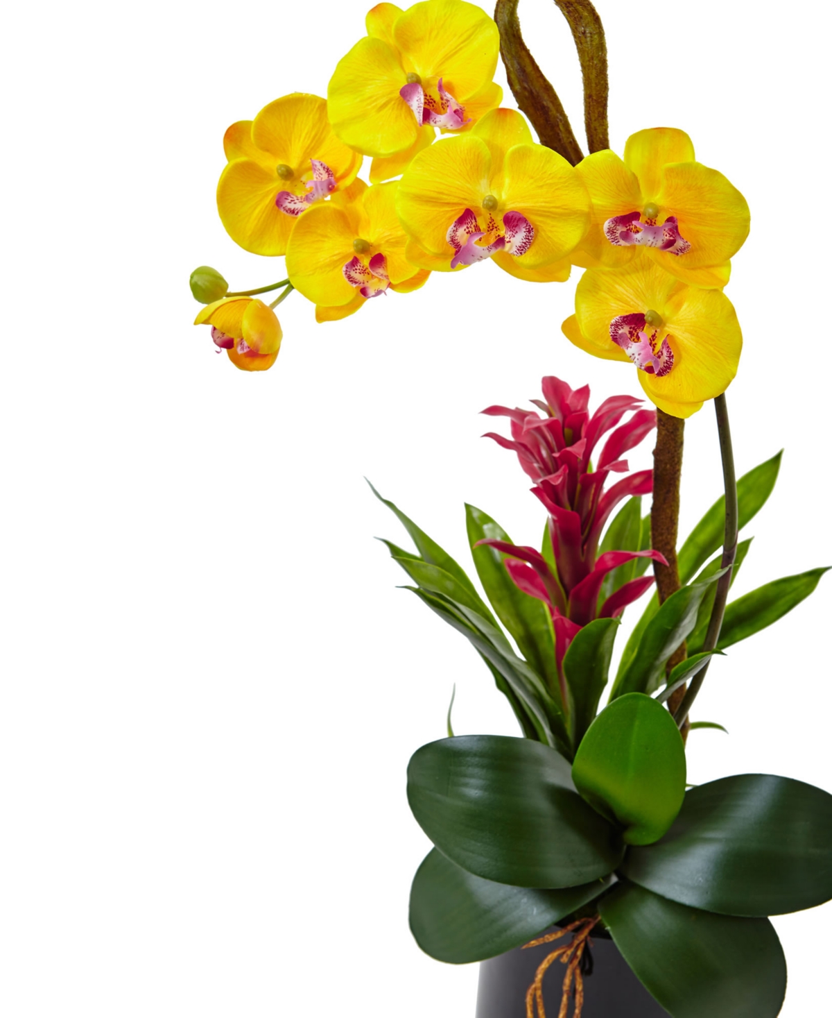 Nearly Natural Orchid & Bromeliad Artificial Arrangement in Glossy Black Cylinder Vase