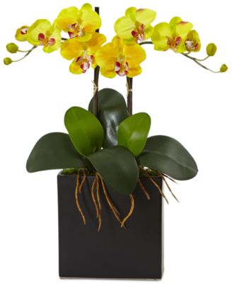 Nearly Natural - Double Mini Phalaenopsis Orchid Artificial Plant in Black Vase