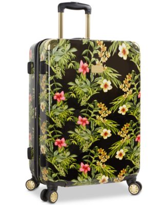 tommy bahama suitcases