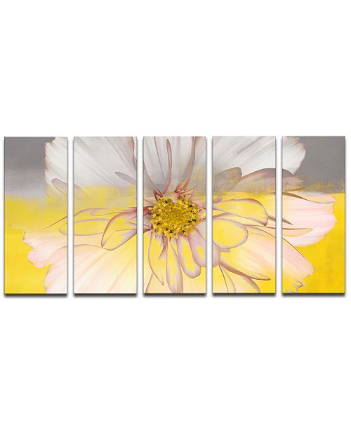 Ready2hangart Painted Petals Xxxiv 5 Pc Canvas Art Print Set