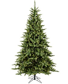 8.5' Camdon Fir Artificial Christmas Tree with 950 Warm White LED Lights