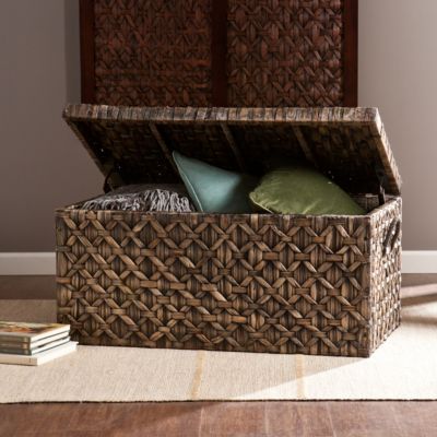 Water Hyacinth Storage Trunk