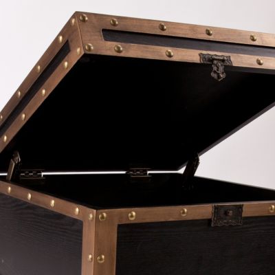 Southern Enterprises Drifton Travel Trunk Side Table, Quick Ship